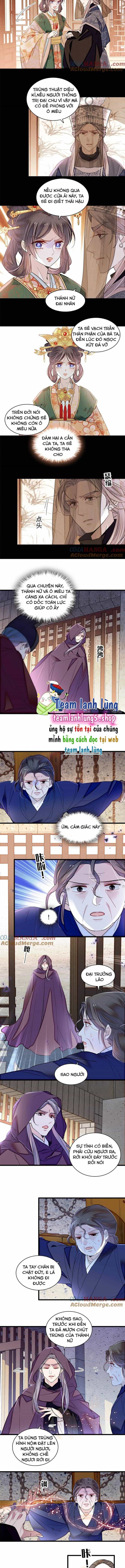 Tự Cẩm - Chương 378 - ảnh 4