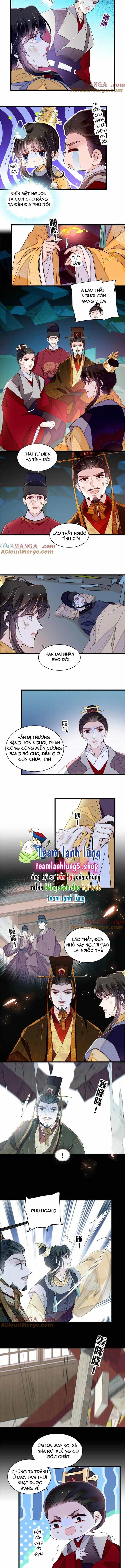 Tự Cẩm - Chương 379 - ảnh 4