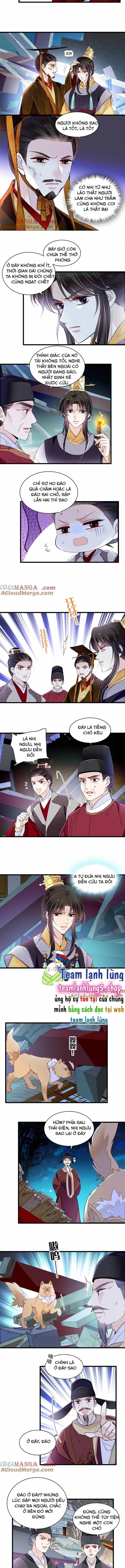 Tự Cẩm - Chương 379 - ảnh 5