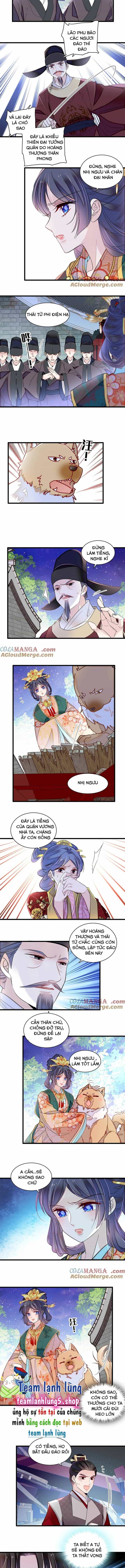 Tự Cẩm - Chương 379 - ảnh 6