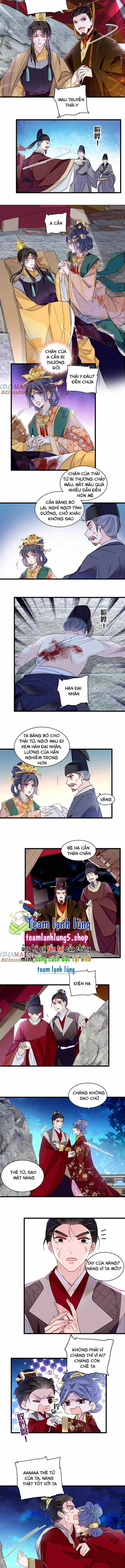 Tự Cẩm - Chương 381 - ảnh 7