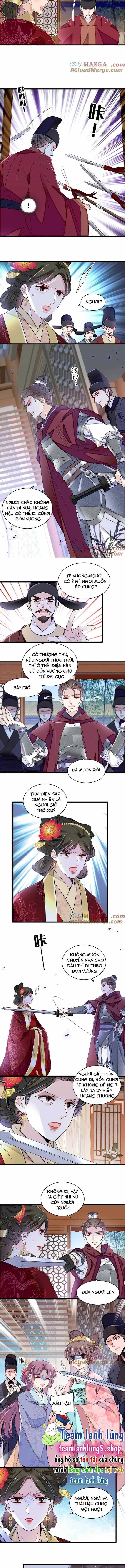Tự Cẩm - Chương 382 - ảnh 4