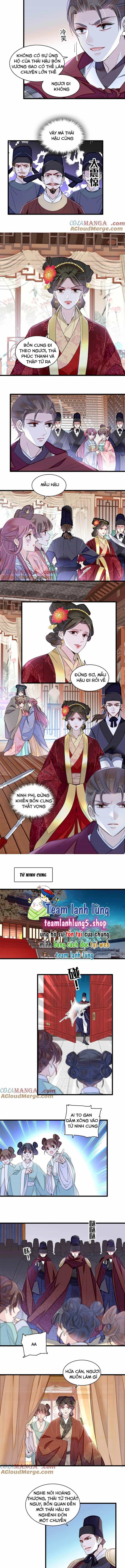 Tự Cẩm - Chương 382 - ảnh 5