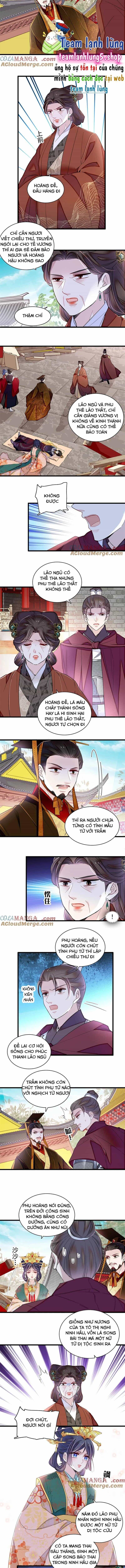 Tự Cẩm - Chương 383 - ảnh 4
