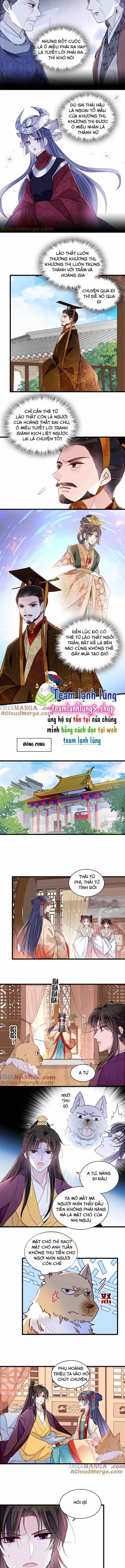 Tự Cẩm - Chương 385 - ảnh 5
