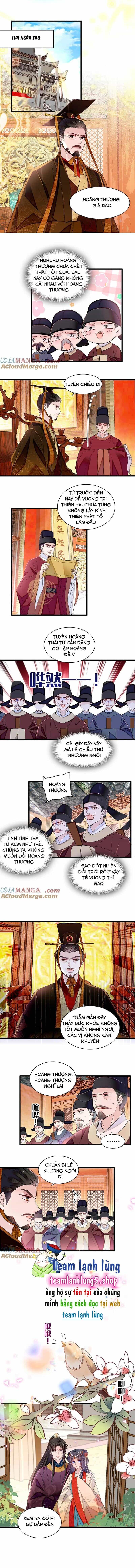 Tự Cẩm - Chương 385 - ảnh 7