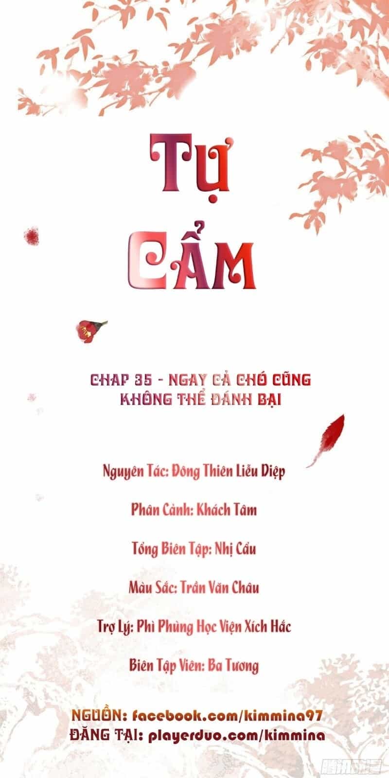 Tự Cẩm - Chương 35 - ảnh 2