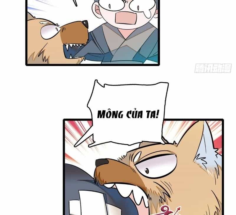 Tự Cẩm - Chương 35 - ảnh 45