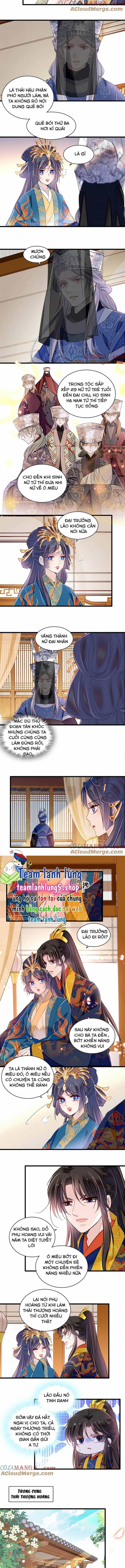 Tự Cẩm - Chương 386 - ảnh 5