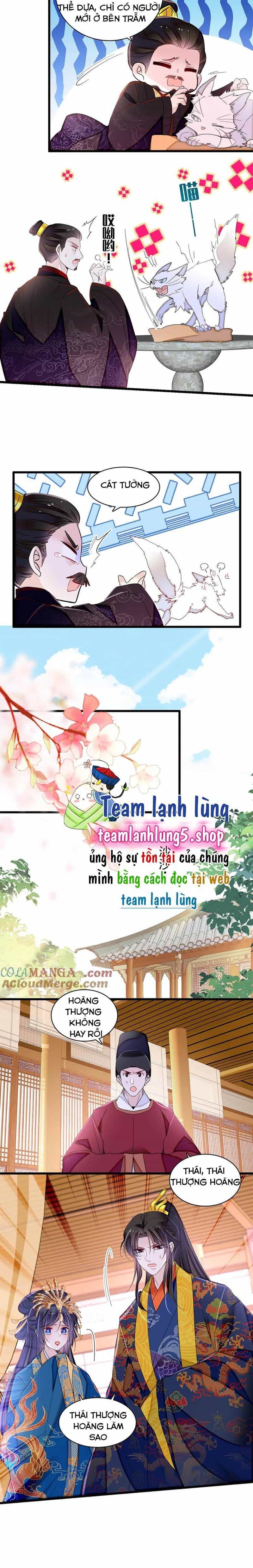 Tự Cẩm - Chương 386 - ảnh 7