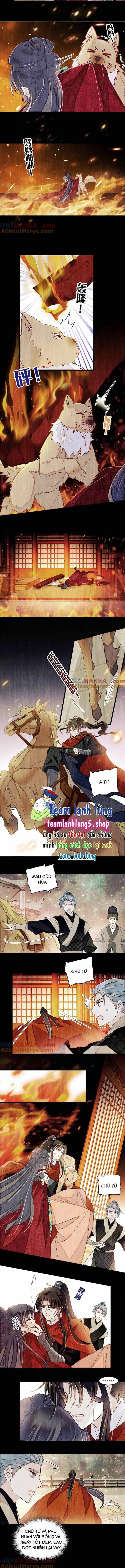 Tự Cẩm - Chương 387 - ảnh 5