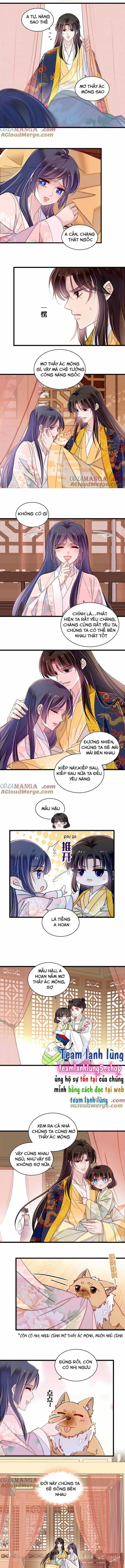 Tự Cẩm - Chương 388 - ảnh 6