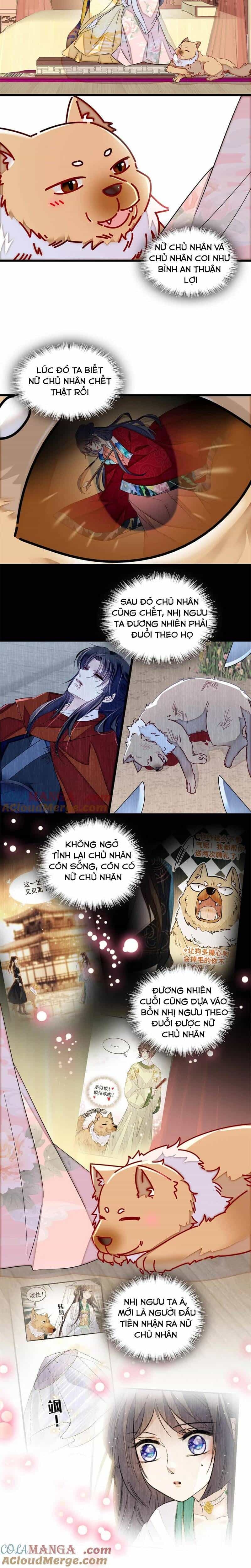 Tự Cẩm - Chương 388 - ảnh 7