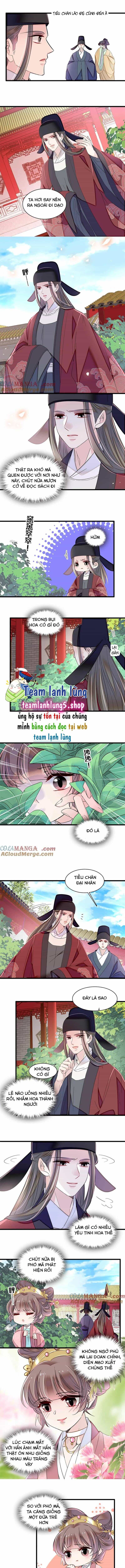 Tự Cẩm - Chương 389 - ảnh 5