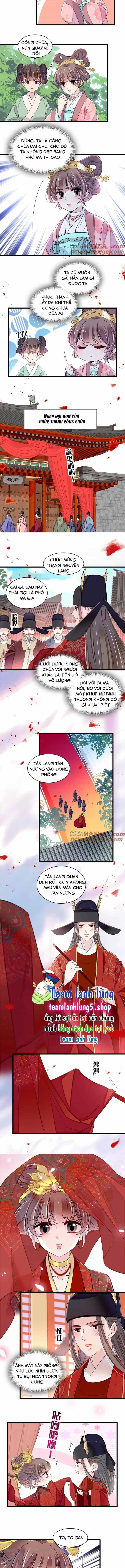 Tự Cẩm - Chương 389 - ảnh 6