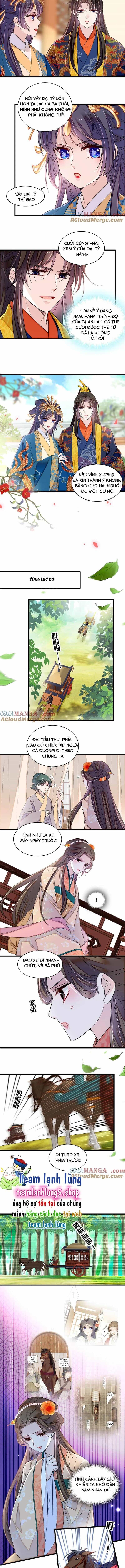 Tự Cẩm - Chương 392 - ảnh 4
