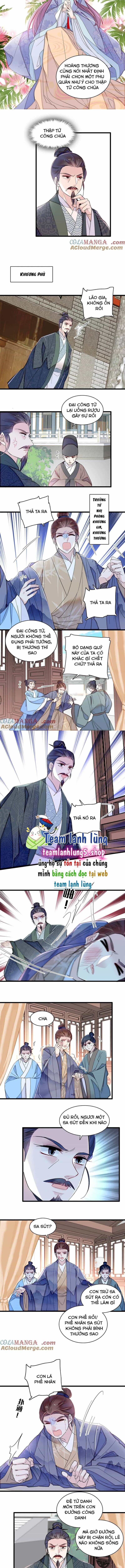 Tự Cẩm - Chương 393 - ảnh 4