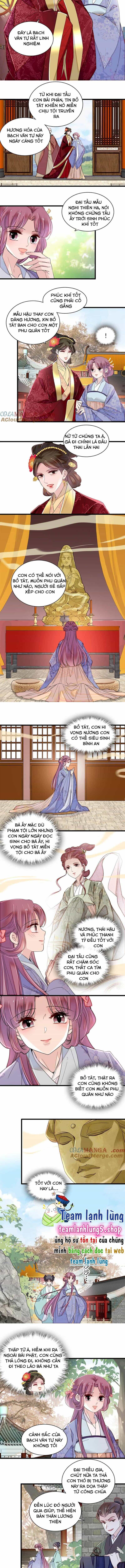 Tự Cẩm - Chương 393 - ảnh 6