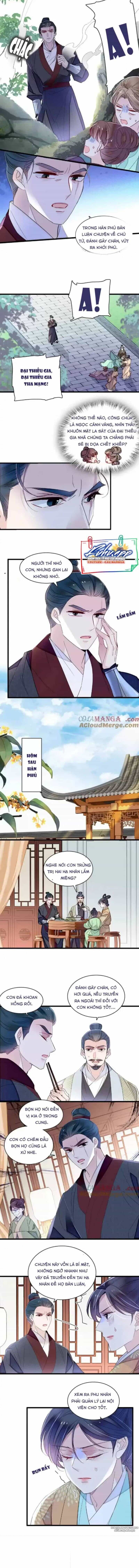 Tự Cẩm - Chương 395 - ảnh 4