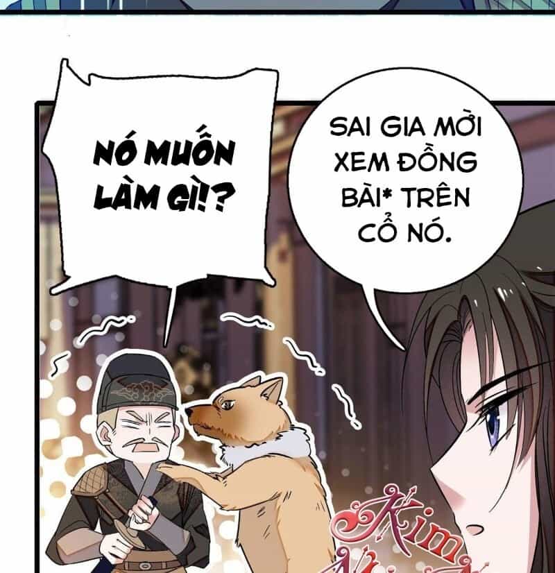 Tự Cẩm - Chương 37 - ảnh 22