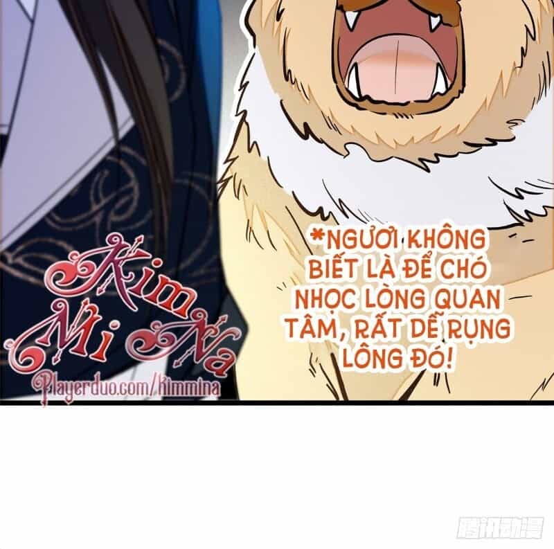 Tự Cẩm - Chương 38 - ảnh 13