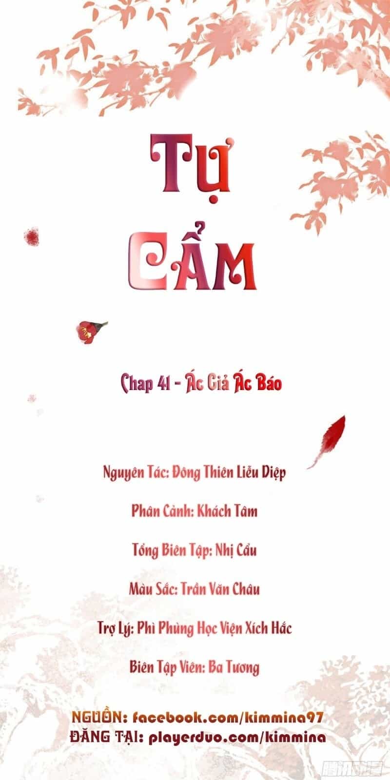 Tự Cẩm - Chương 41 - ảnh 2
