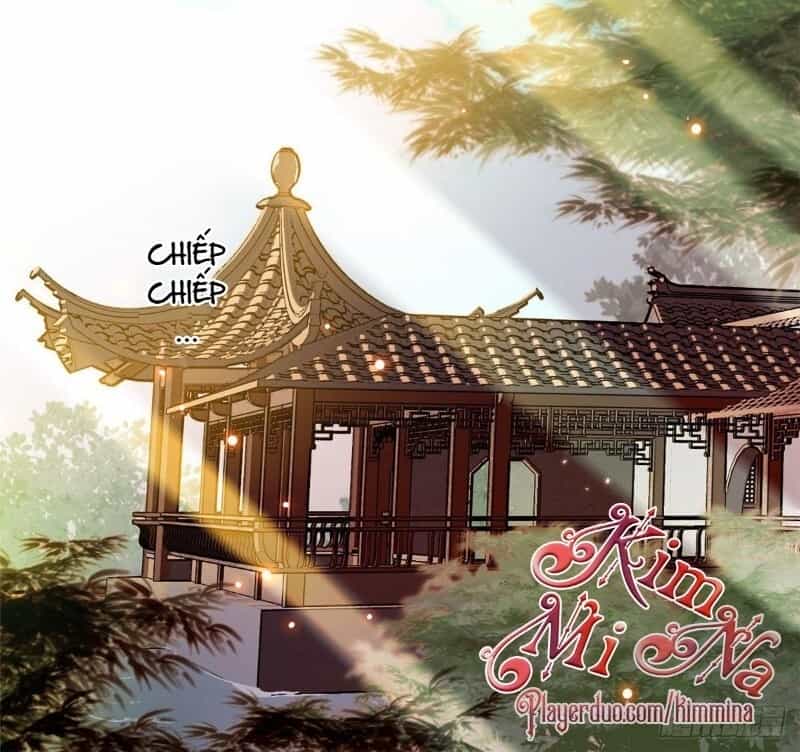 Tự Cẩm - Chương 41 - ảnh 30