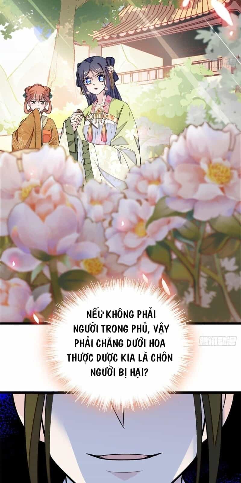 Tự Cẩm - Chương 44 - ảnh 15