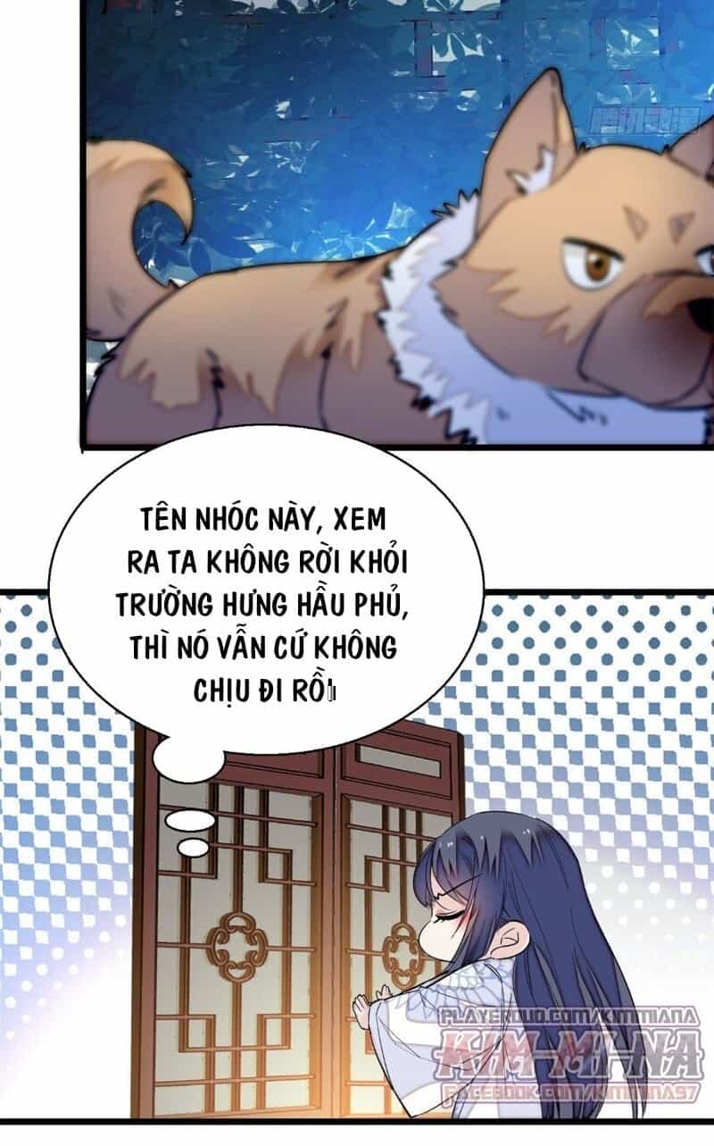 Tự Cẩm - Chương 47 - ảnh 16