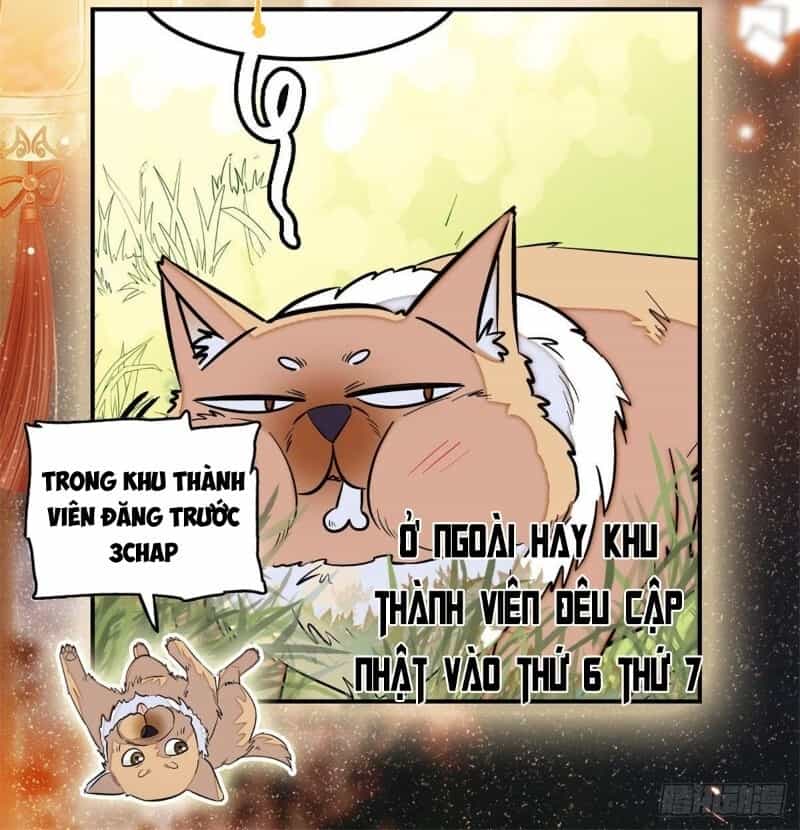 Tự Cẩm - Chương 47 - ảnh 37