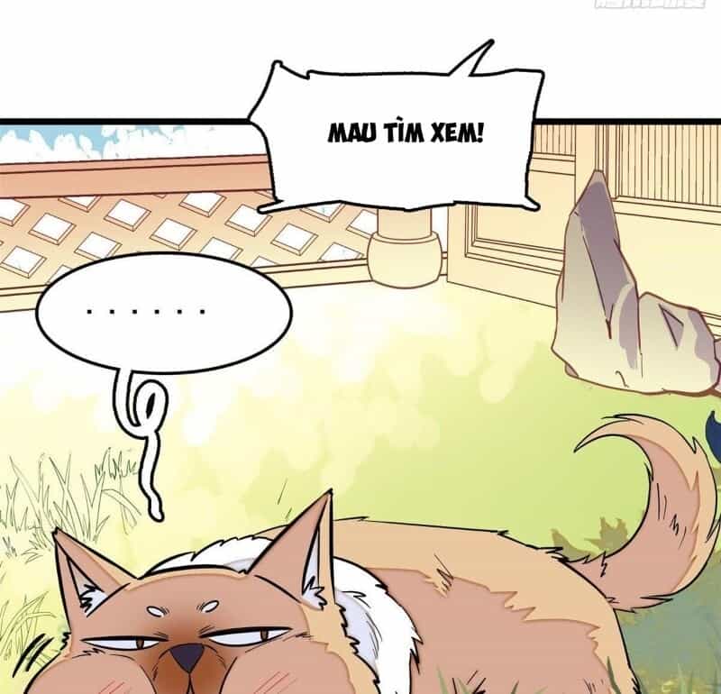 Tự Cẩm - Chương 48 - ảnh 61