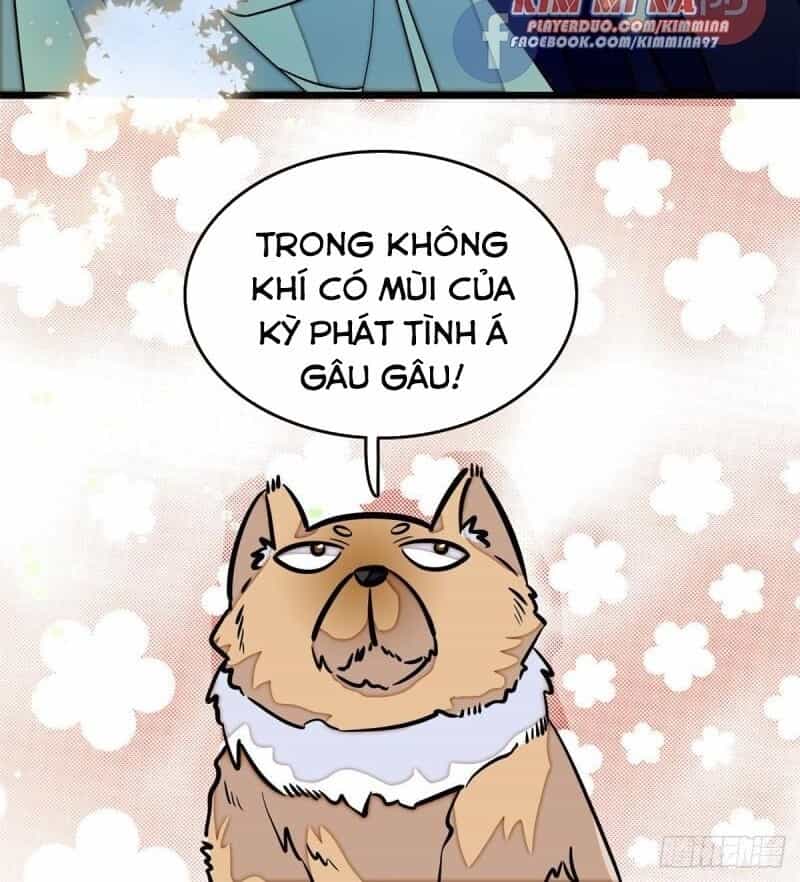 Tự Cẩm - Chương 51 - ảnh 28