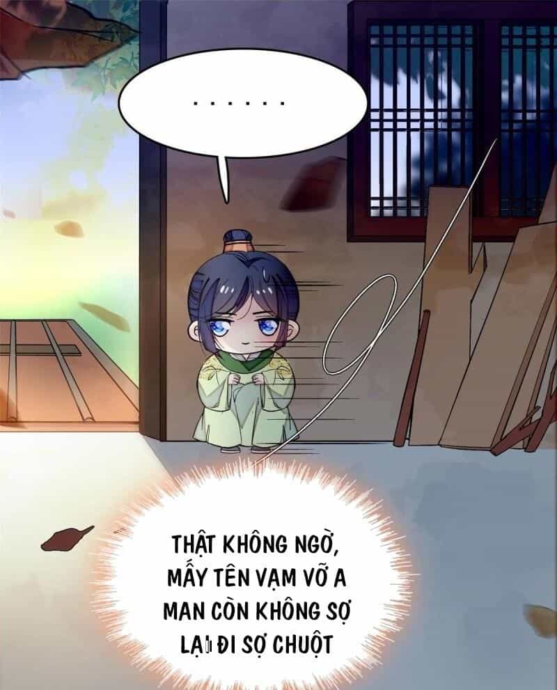 Tự Cẩm - Chương 52 - ảnh 34