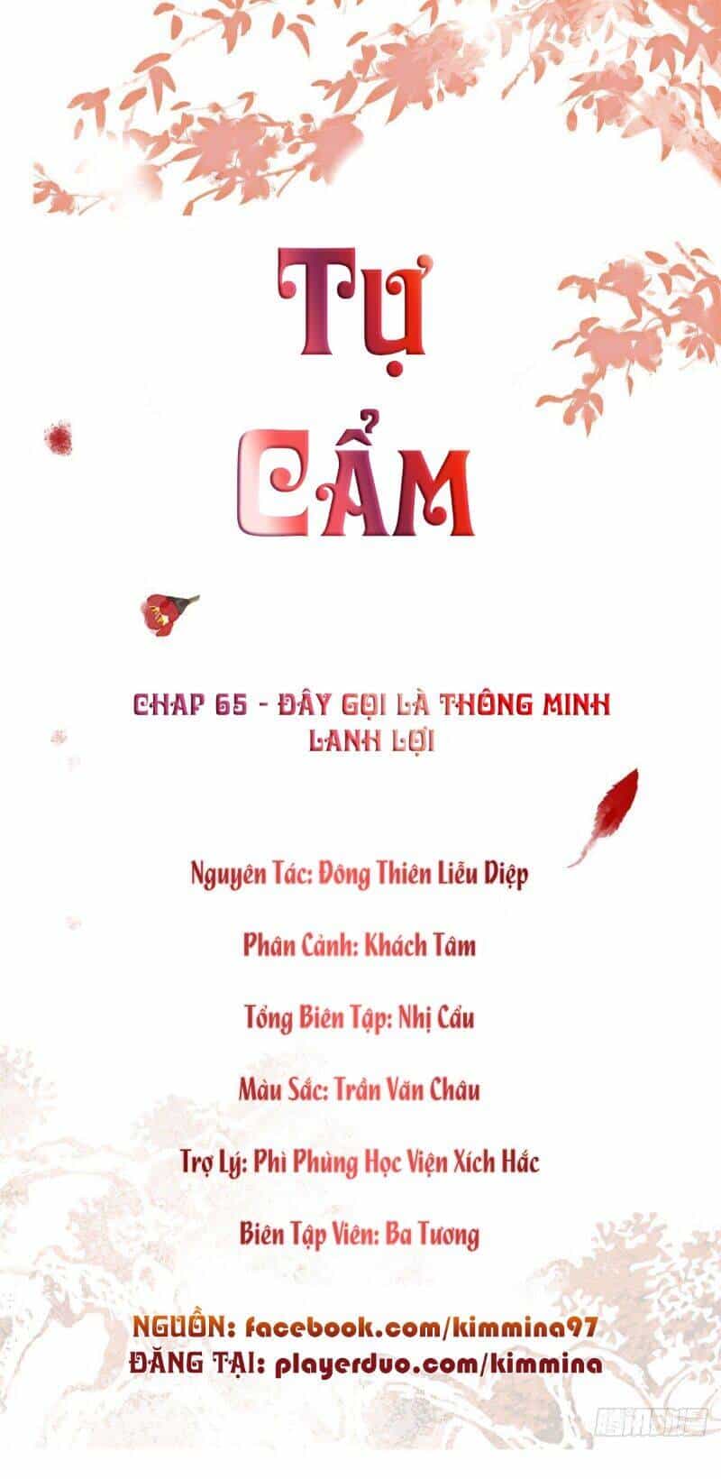 Tự Cẩm - Chương 65 - ảnh 1