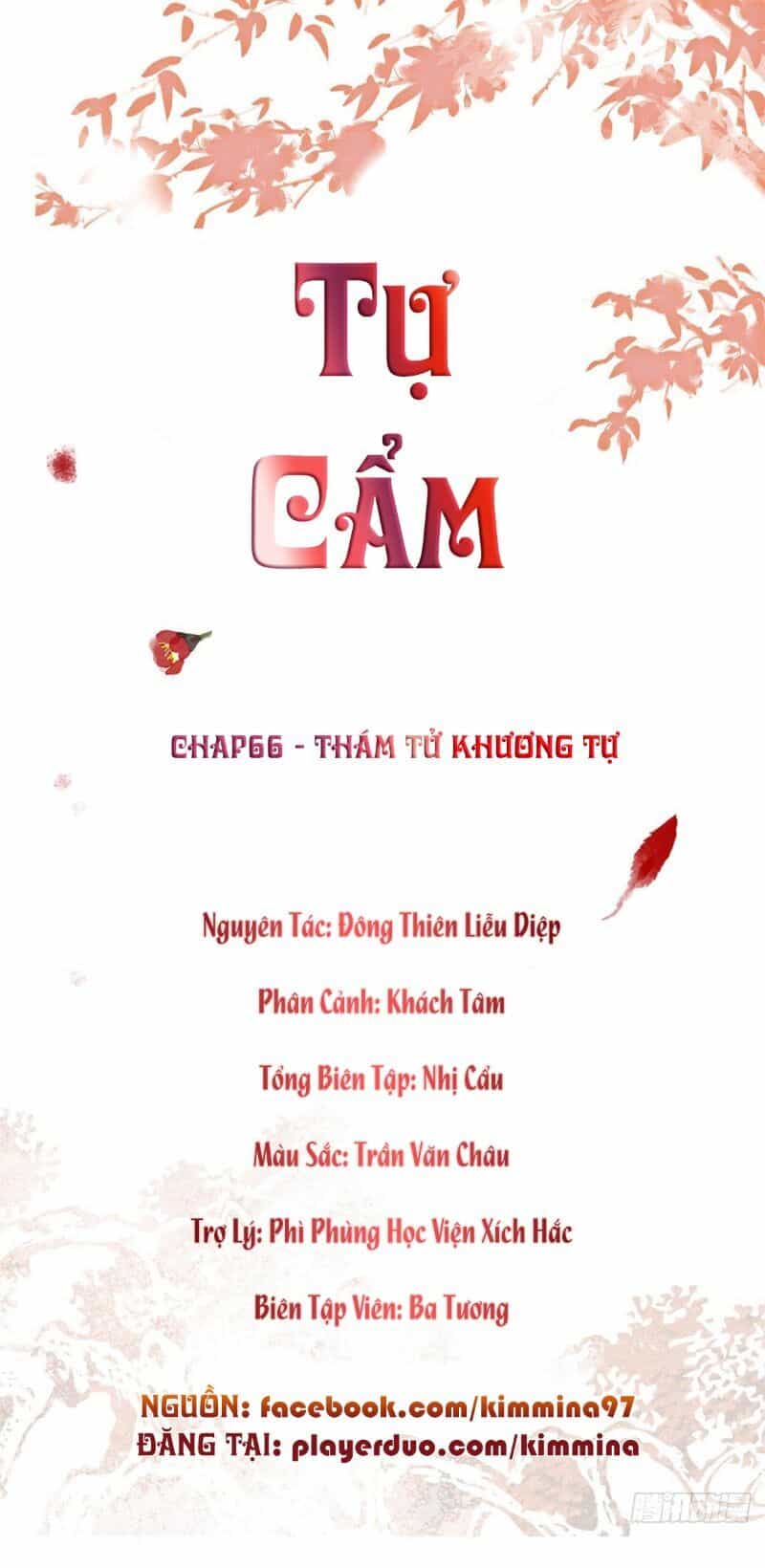 Tự Cẩm - Chương 66 - ảnh 1