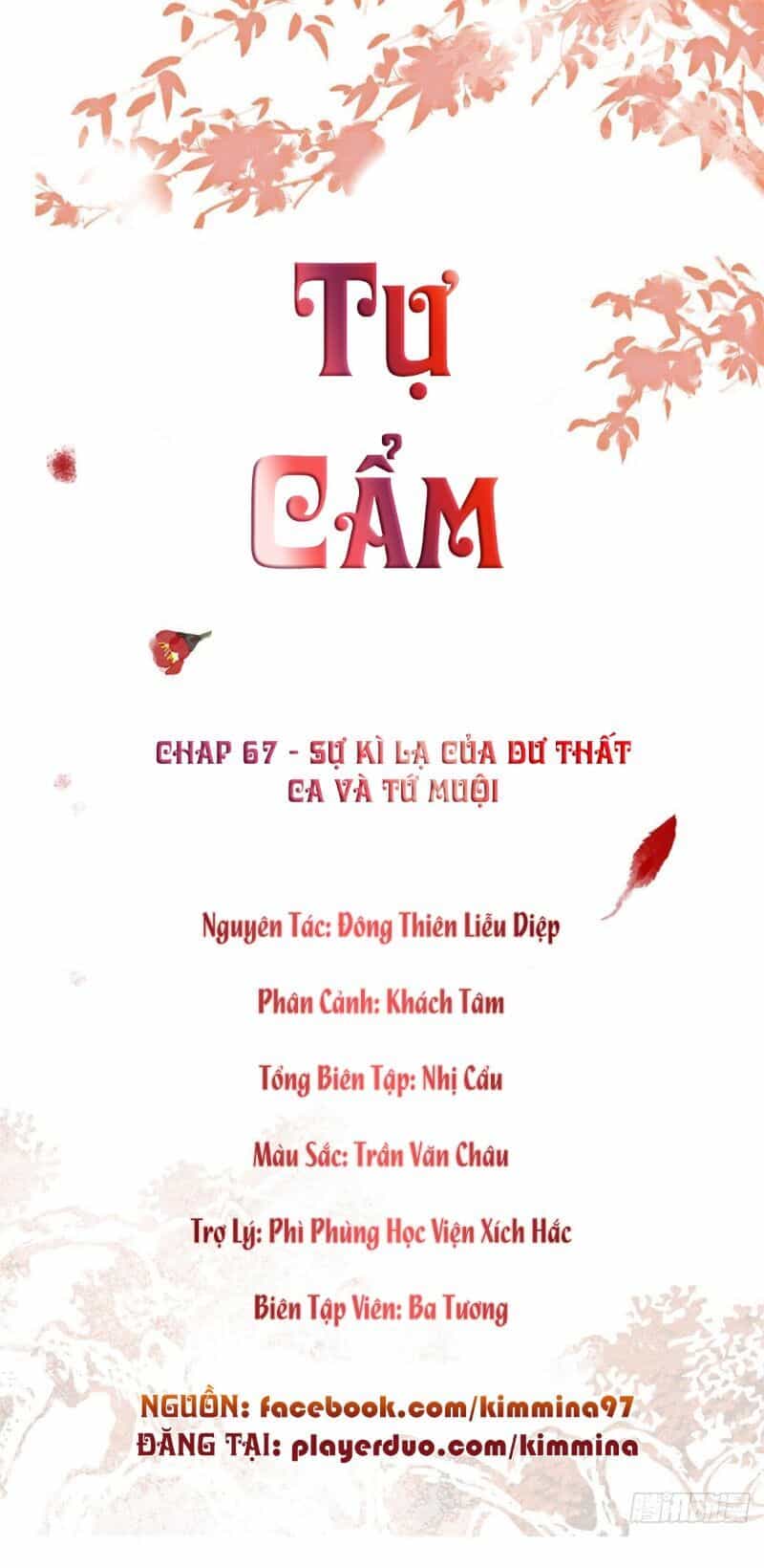 Tự Cẩm - Chương 67 - ảnh 1