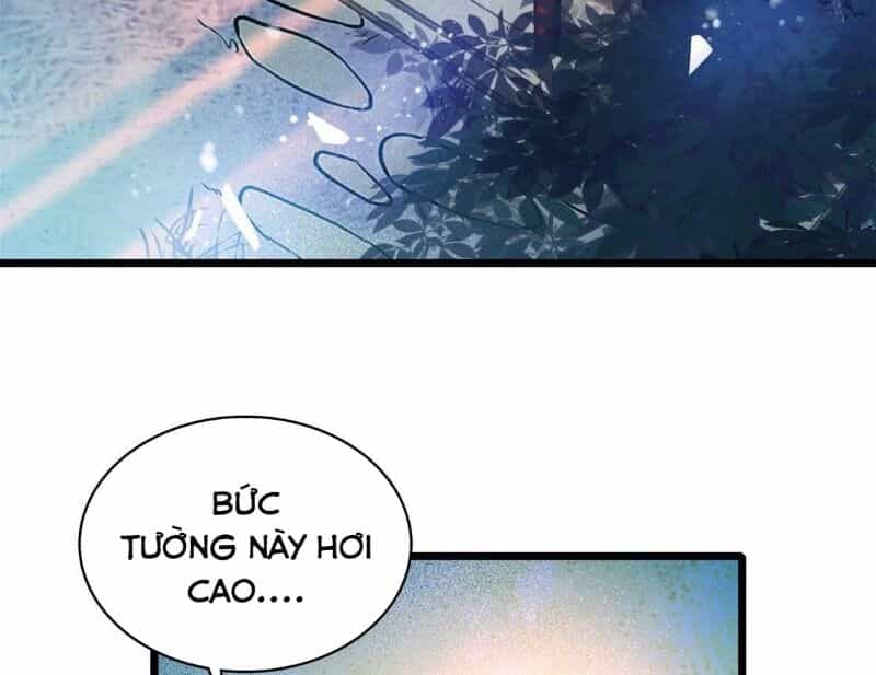 Tự Cẩm - Chương 71 - ảnh 20