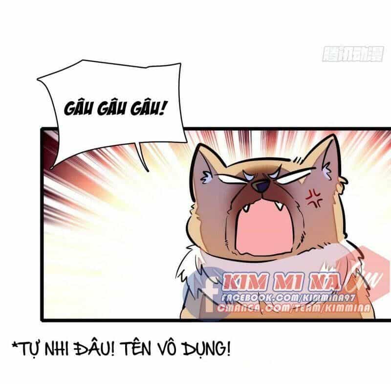 Tự Cẩm - Chương 72 - ảnh 34
