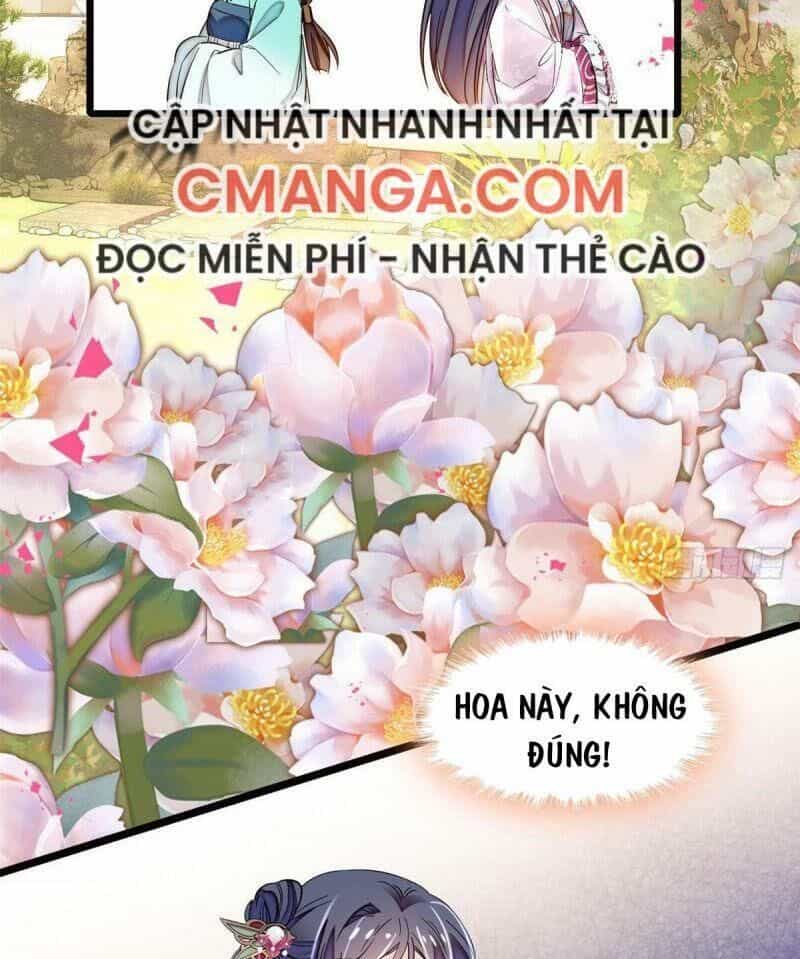 Tự Cẩm - Chương 73 - ảnh 14