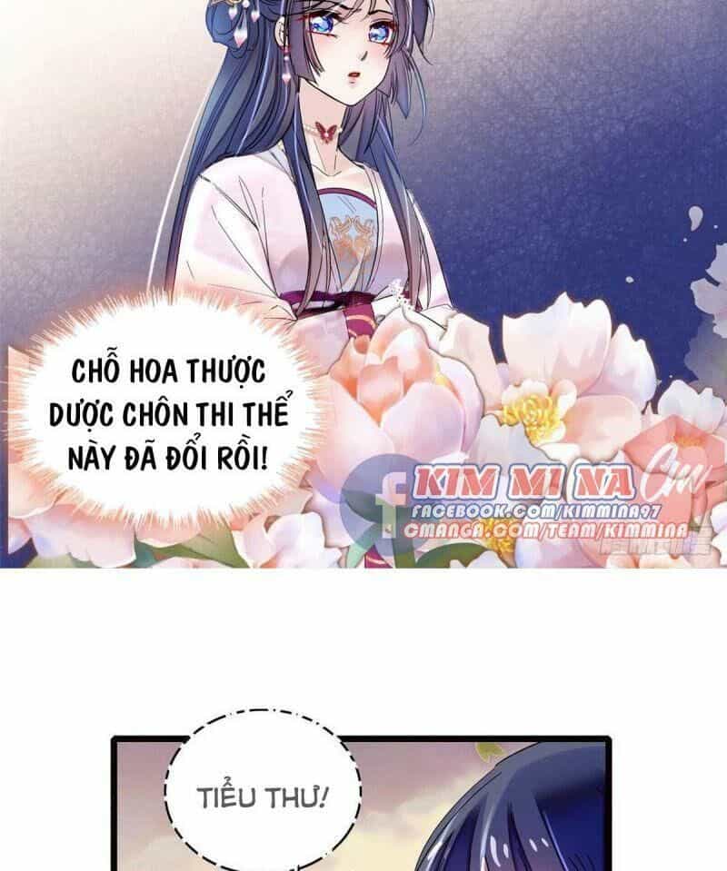 Tự Cẩm - Chương 73 - ảnh 15