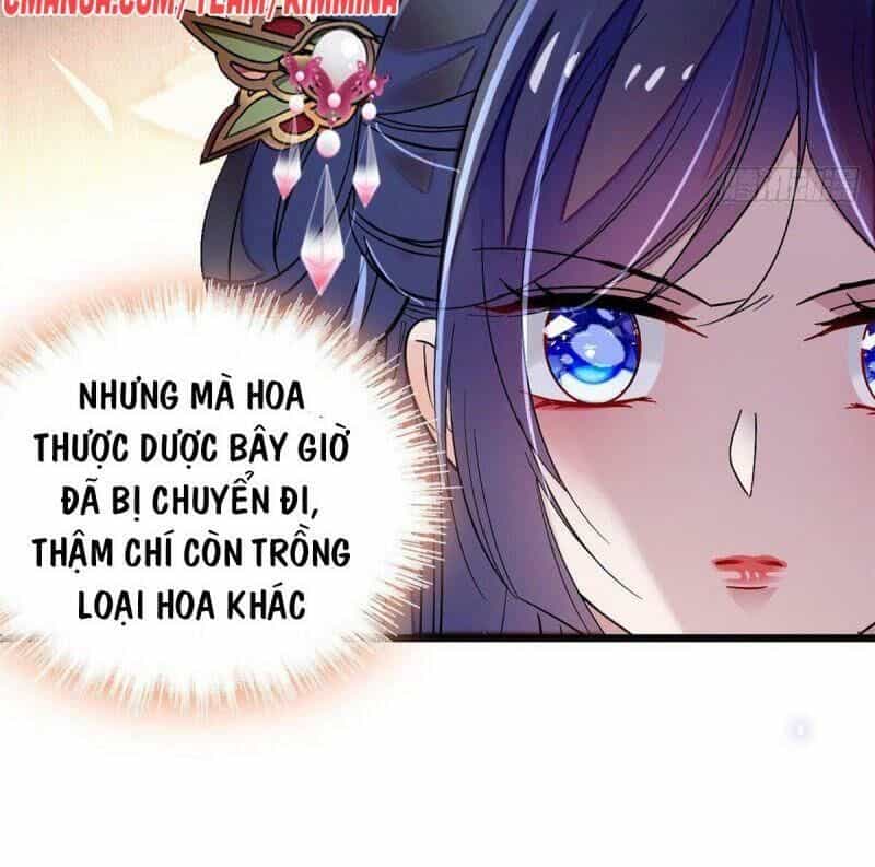 Tự Cẩm - Chương 73 - ảnh 19
