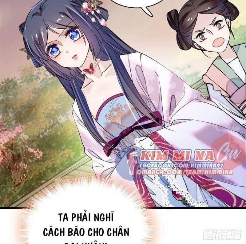 Tự Cẩm - Chương 73 - ảnh 22