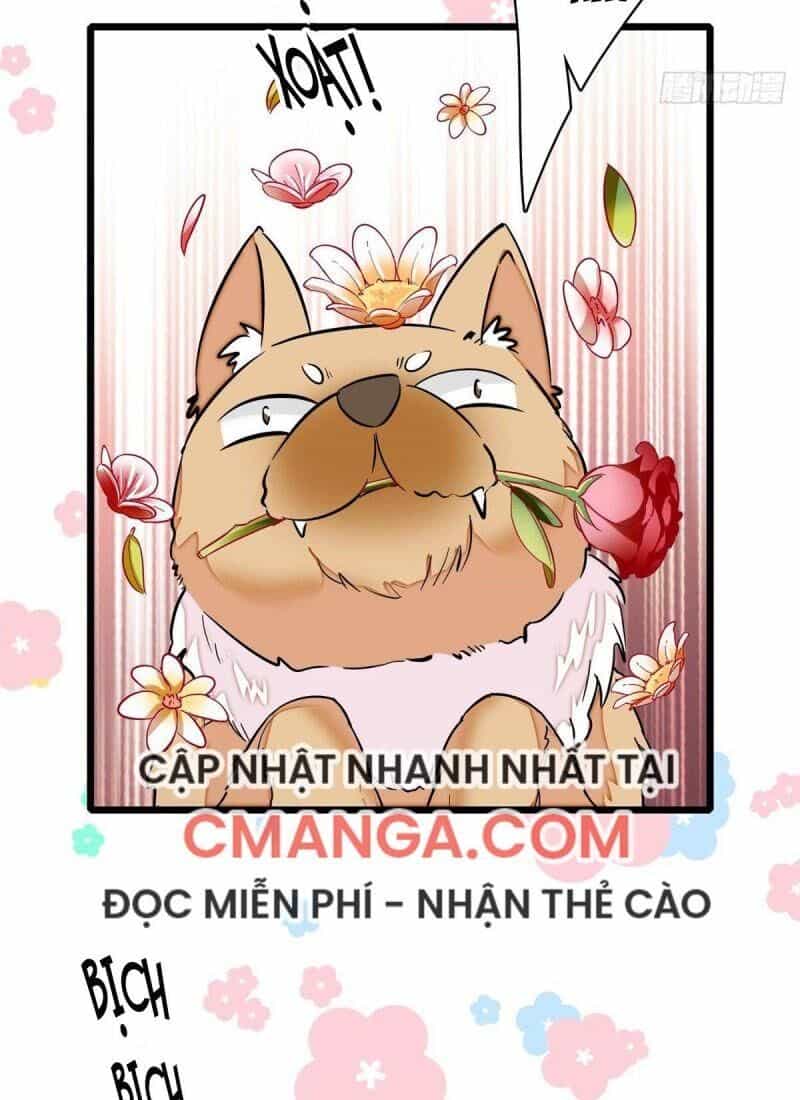 Tự Cẩm - Chương 74 - ảnh 12