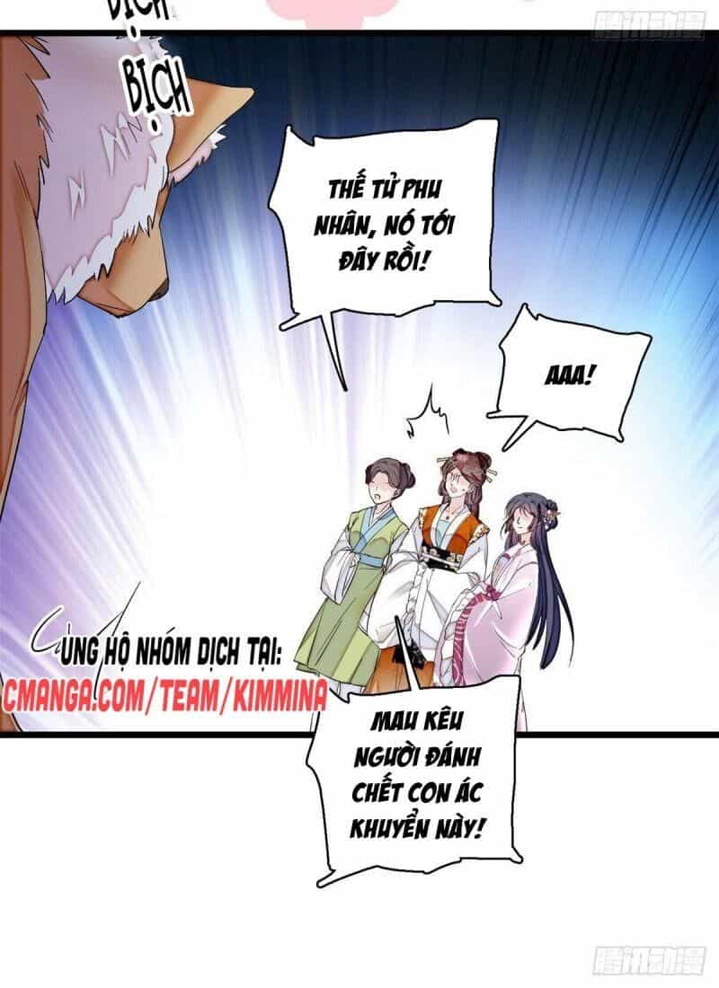 Tự Cẩm - Chương 74 - ảnh 13