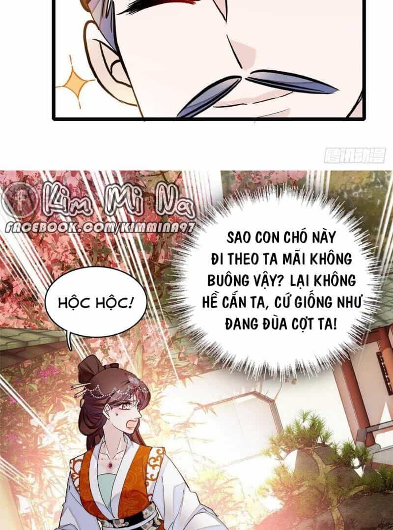 Tự Cẩm - Chương 74 - ảnh 21