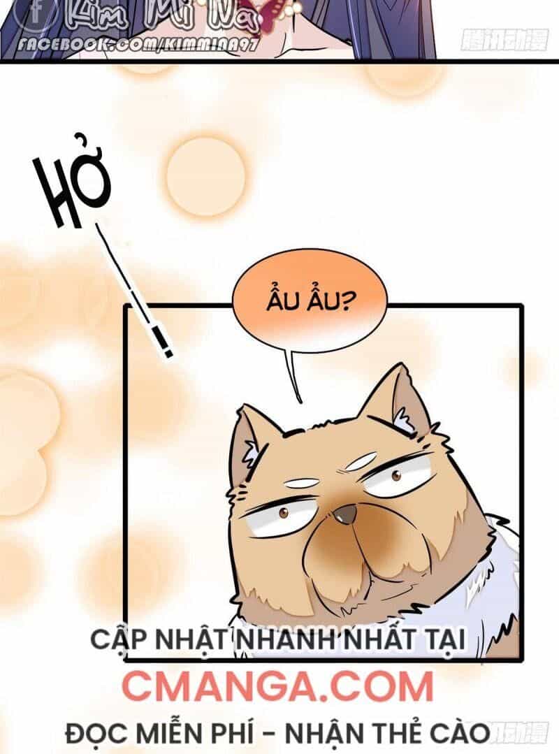 Tự Cẩm - Chương 74 - ảnh 24