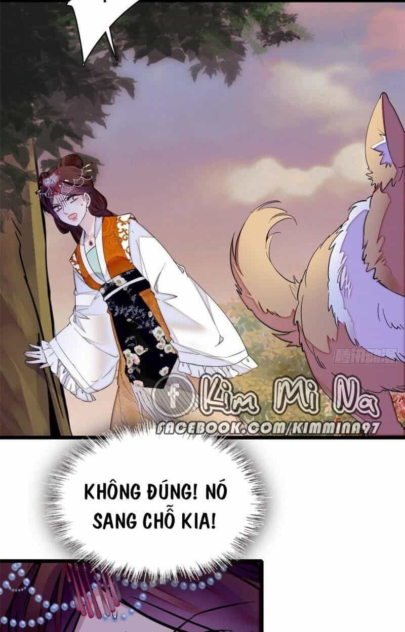 Tự Cẩm - Chương 74 - ảnh 26