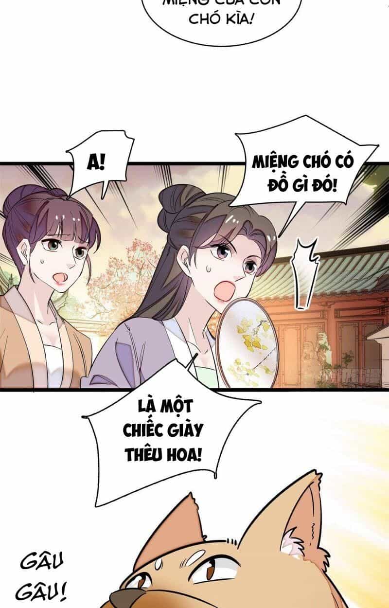 Tự Cẩm - Chương 74 - ảnh 33