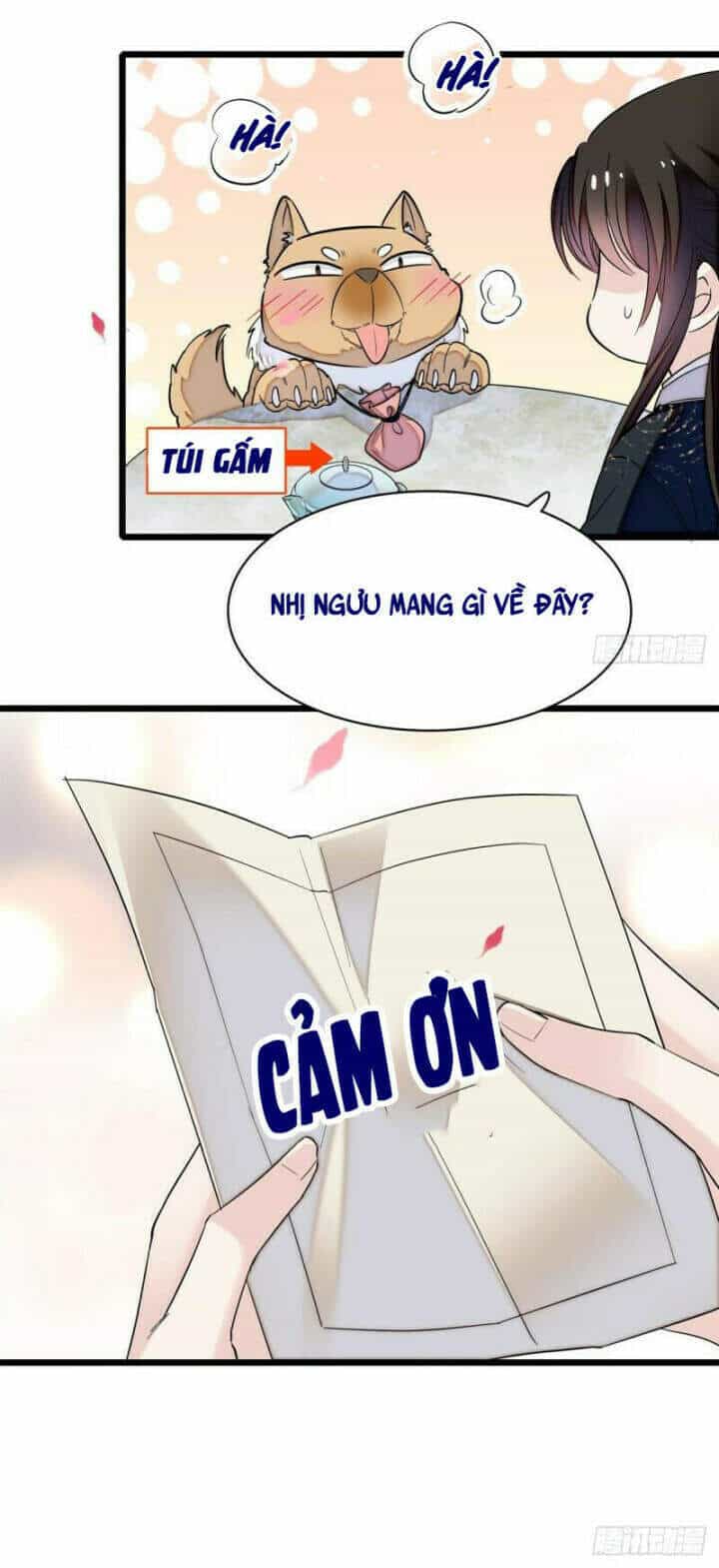 Tự Cẩm - Chương 76 - ảnh 14