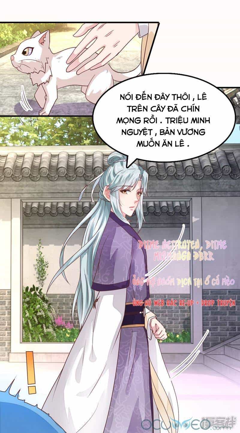 Tư Sủng Âm Dương Phi - Chương 16 - ảnh 23